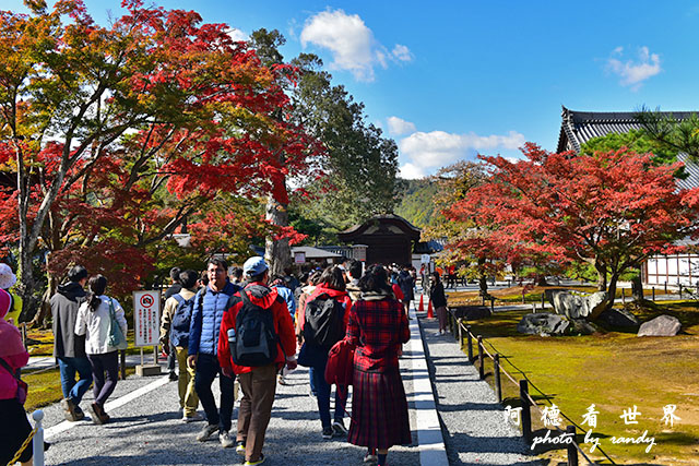 京都1D810 084.JPG