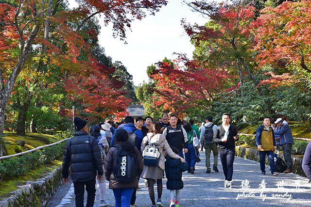 京都1D810 080.JPG