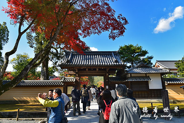 京都1D810 083.JPG