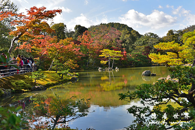 京都1D810 095.JPG