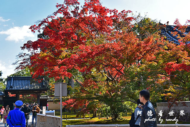 京都1D810 085.JPG