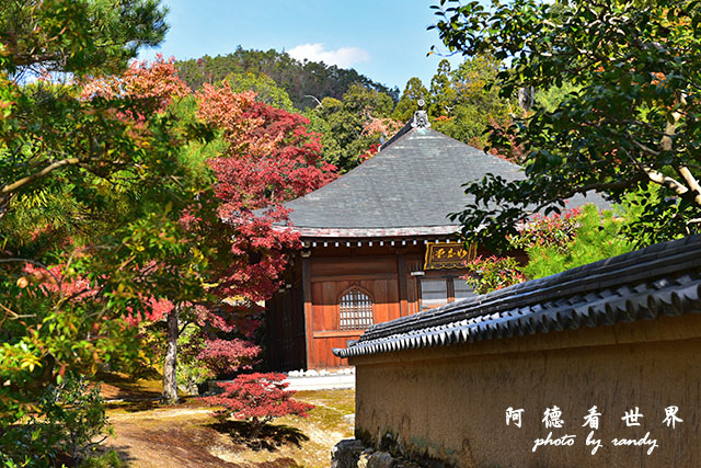 京都1D810 100.JPG