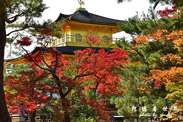 京都1D810 119.JPG