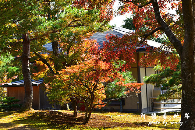 京都1D810 120.JPG