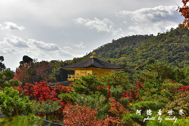 京都1D810 129.JPG