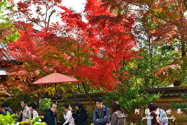 京都1D810 135.JPG