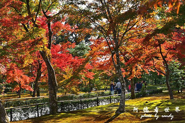 京都1D810 145.JPG