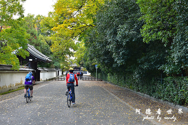 京都1D810 151.JPG