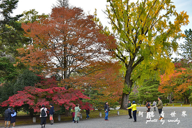 京都1D810 157.JPG