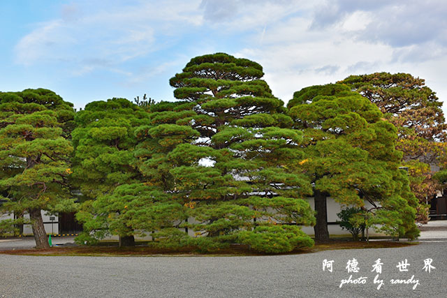 京都1D810 163.JPG