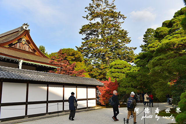 京都1D810 184.JPG