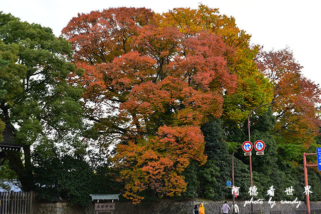 京都1D810 192.JPG