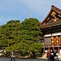 京都1SX740 172.JPG