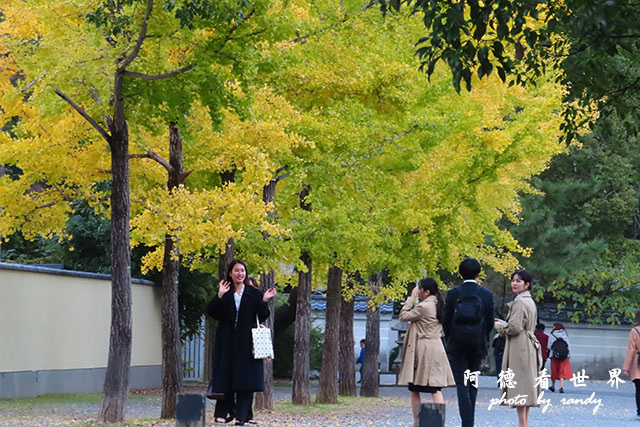 京都1SX740 196.JPG