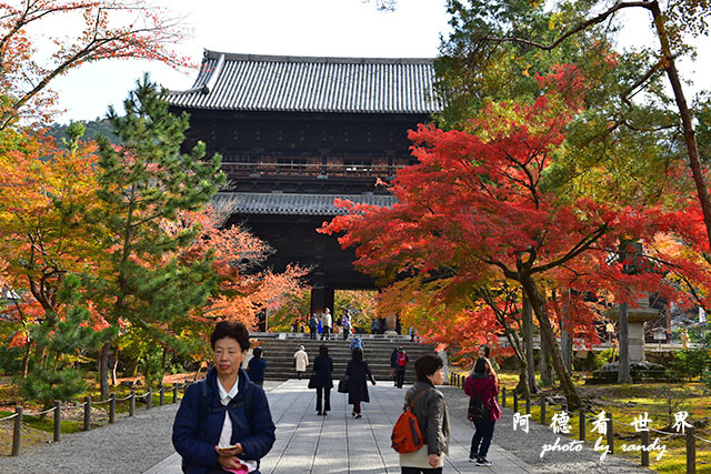 京都2D810 014.JPG