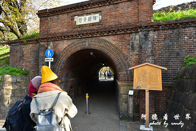 京都2D810 002.JPG