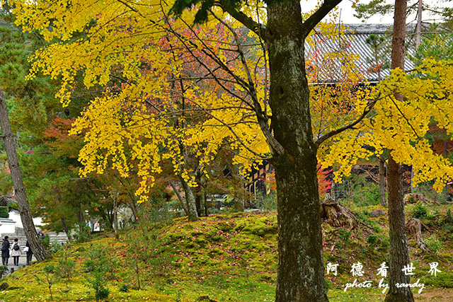 京都2D810 153.JPG