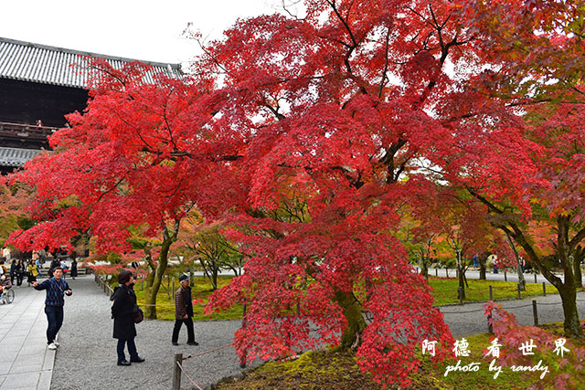 京都2D810 157.JPG