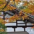 京都2D810 169.JPG