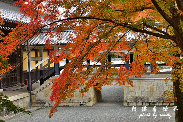 京都2D810 168.JPG