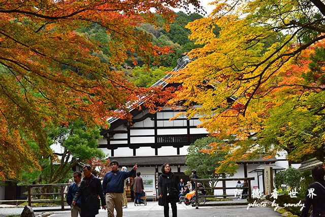京都2D810 167.JPG