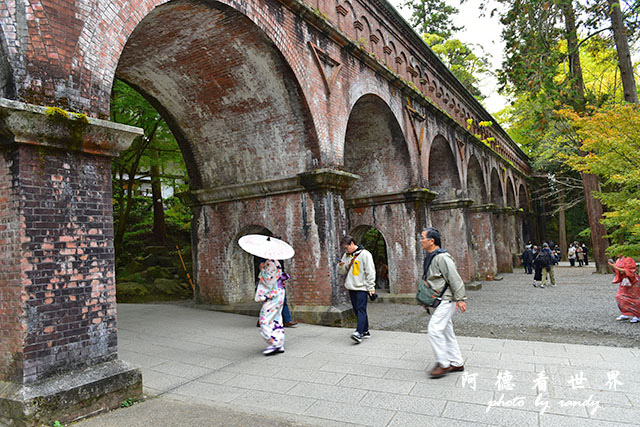 京都2D810 182.JPG