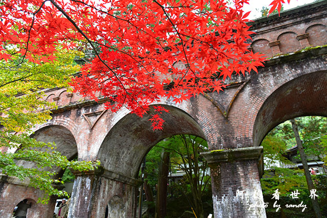 京都2D810 187.JPG