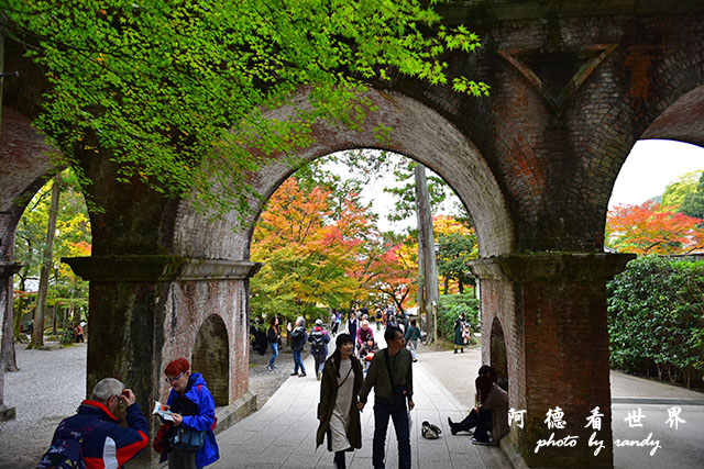 京都2D810 204.JPG