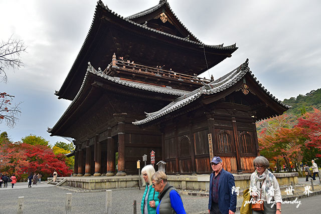 京都2D810 216.JPG