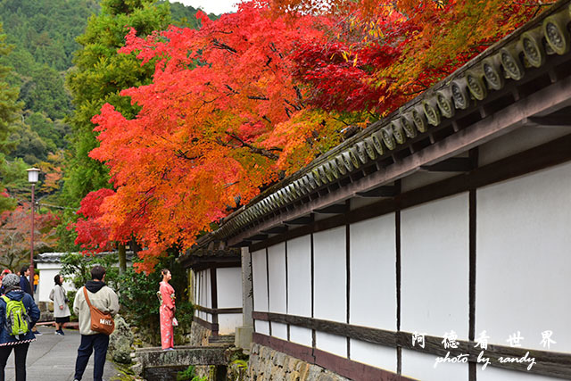 京都2D810 217.JPG