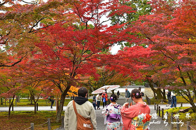 京都2D810 212.JPG