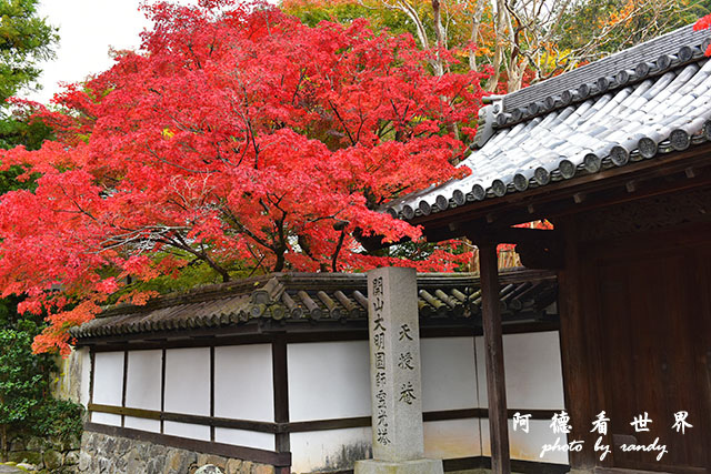 京都2D810 214.JPG