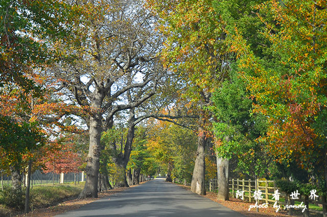 stellenbosch1D7000 115.JPG