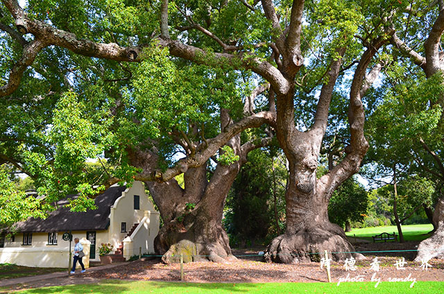 stellenbosch1D7000 161.JPG