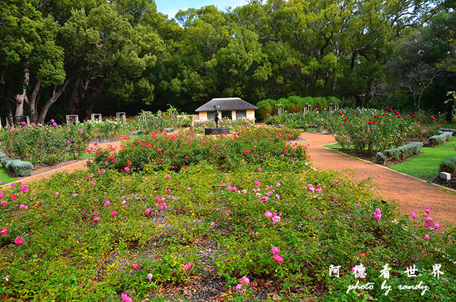 stellenbosch1D7000 185.JPG