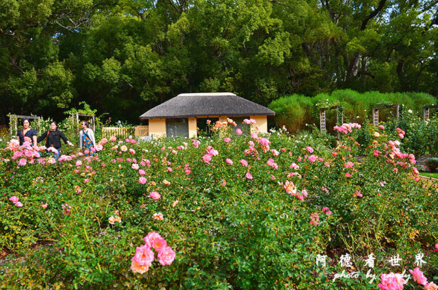 stellenbosch1D7000 190.JPG