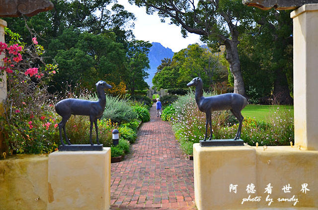 stellenbosch1D7000 197.JPG