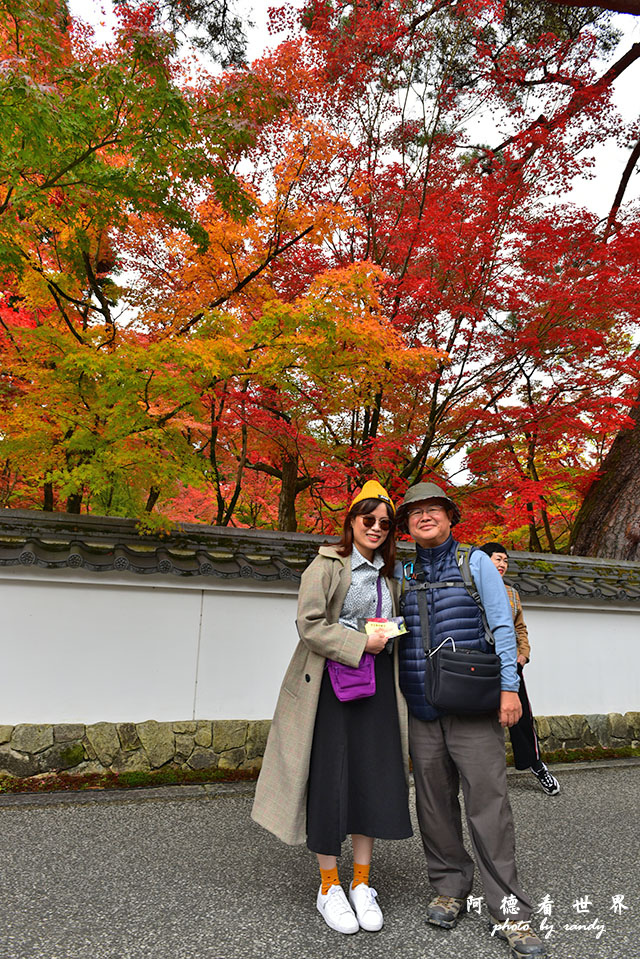 京都2D810 024.JPG