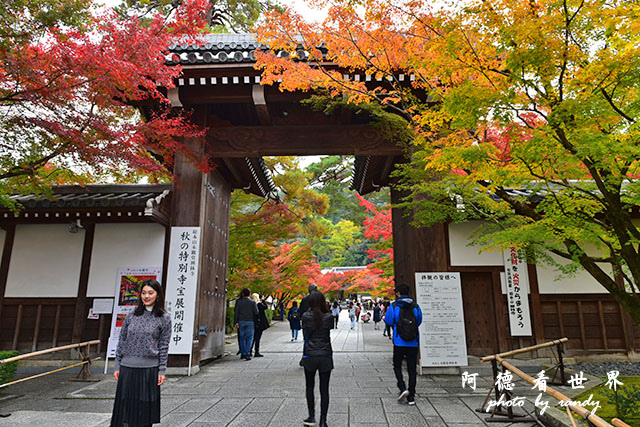 京都2D810 018.JPG