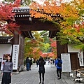 京都2D810 018.JPG