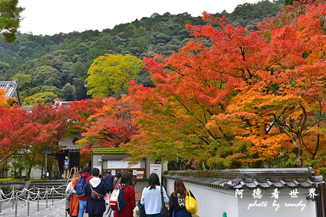 京都2D810 031.JPG