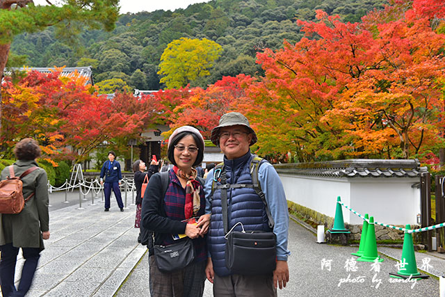 京都2D810 029.JPG