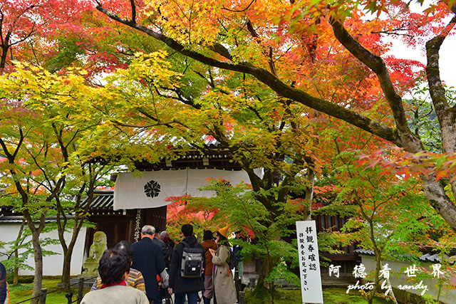 京都2D810 035.JPG