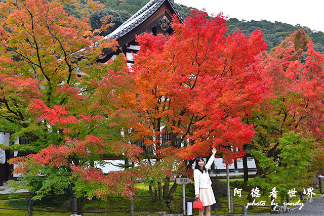 京都2D810 038.JPG