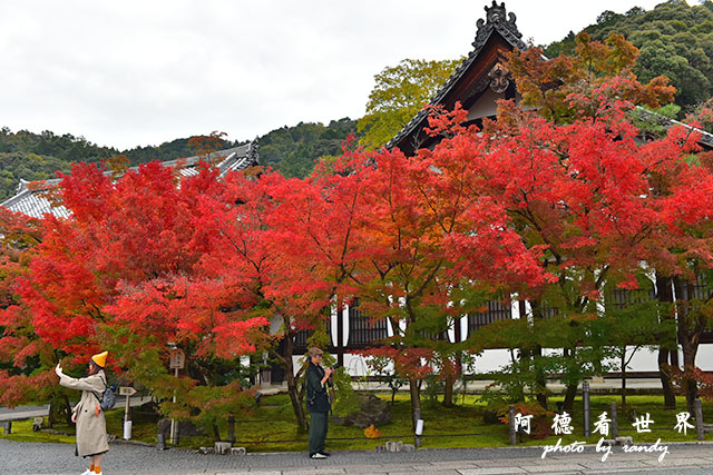 京都2D810 040.JPG