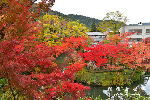 京都2D810 049.JPG