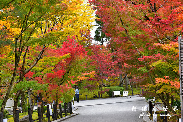 京都2D810 042.JPG