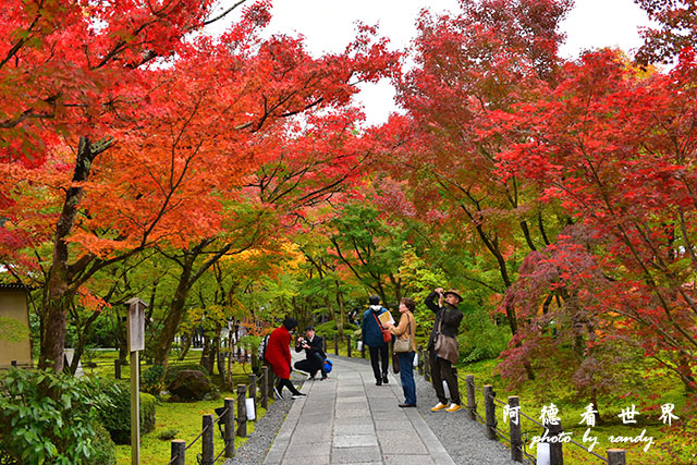 京都2D810 053.JPG