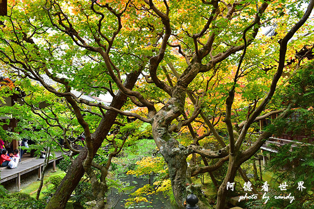 京都2D810 062.JPG