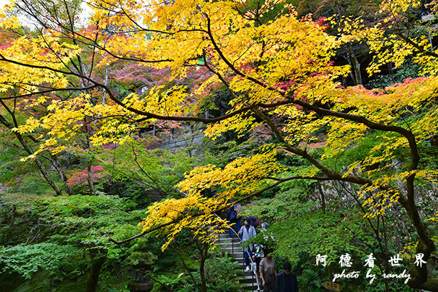 京都2D810 072.JPG